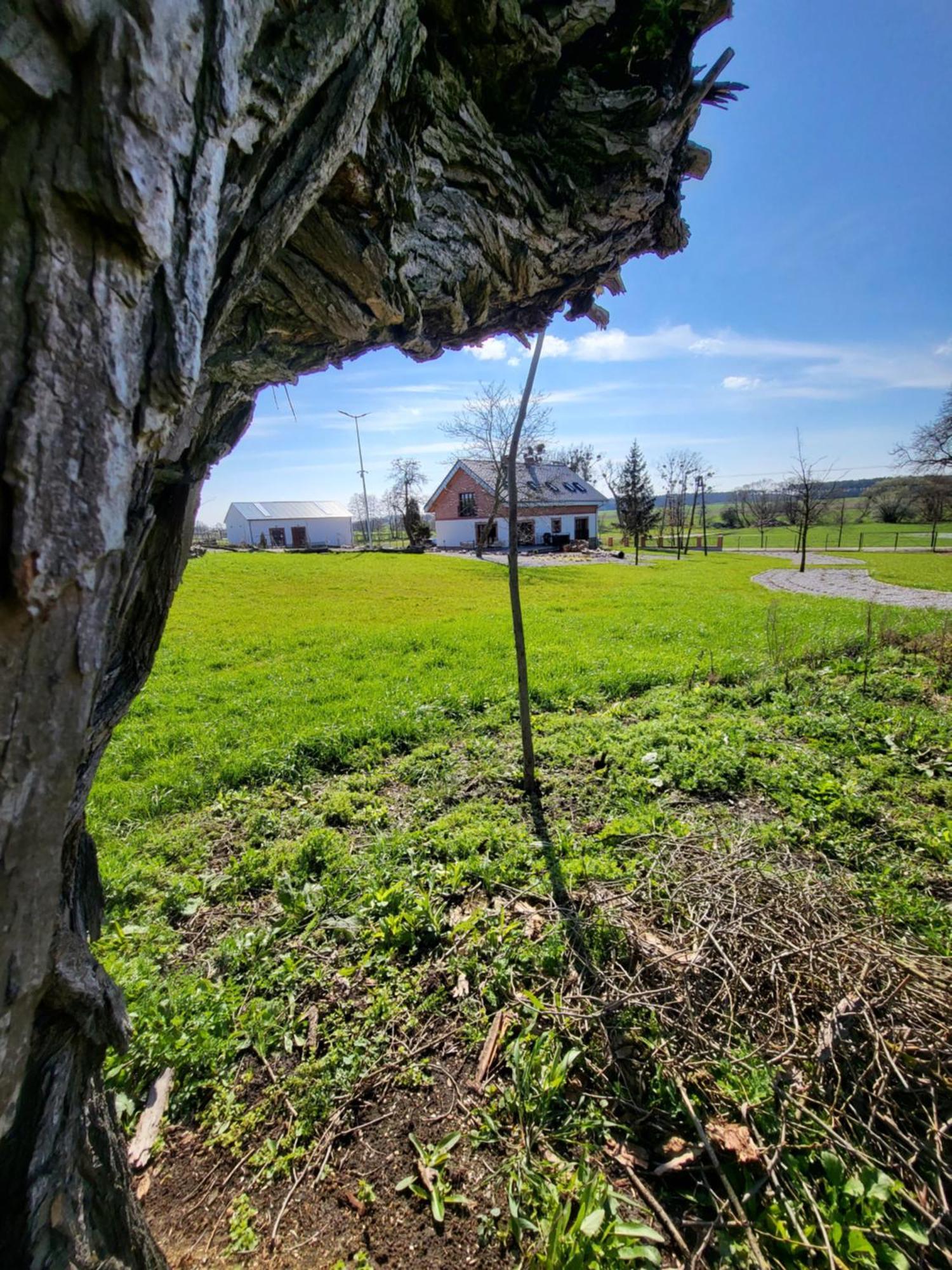 Stary Dom Nad Wrzesnica Villa Szamarzewo Exteriör bild